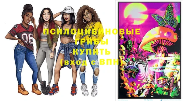 тгк Богданович