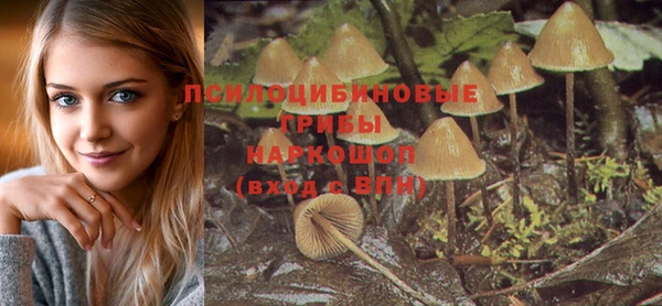 2c-b Белокуриха