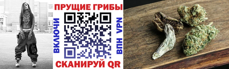 Псилоцибиновые грибы мицелий Вичуга