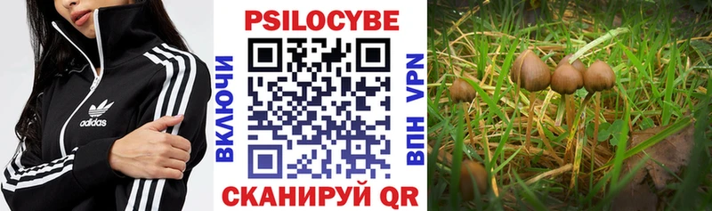 купить закладку  Вичуга  Псилоцибиновые грибы мицелий 