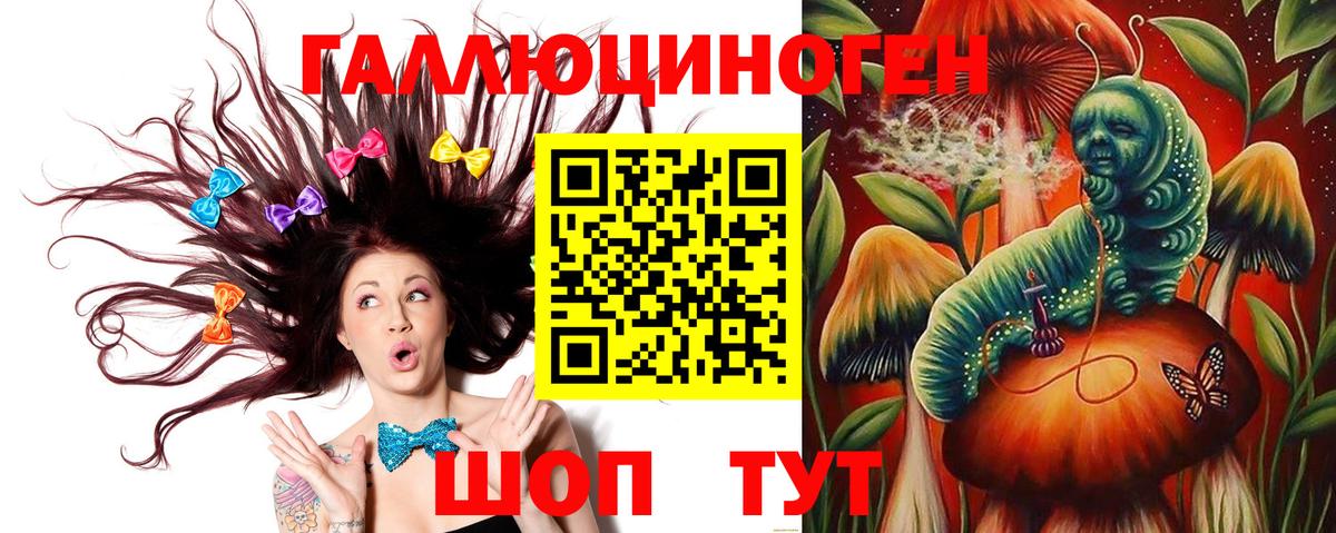 Псилоцибиновые грибы GOLDEN TEACHER  Вичуга 