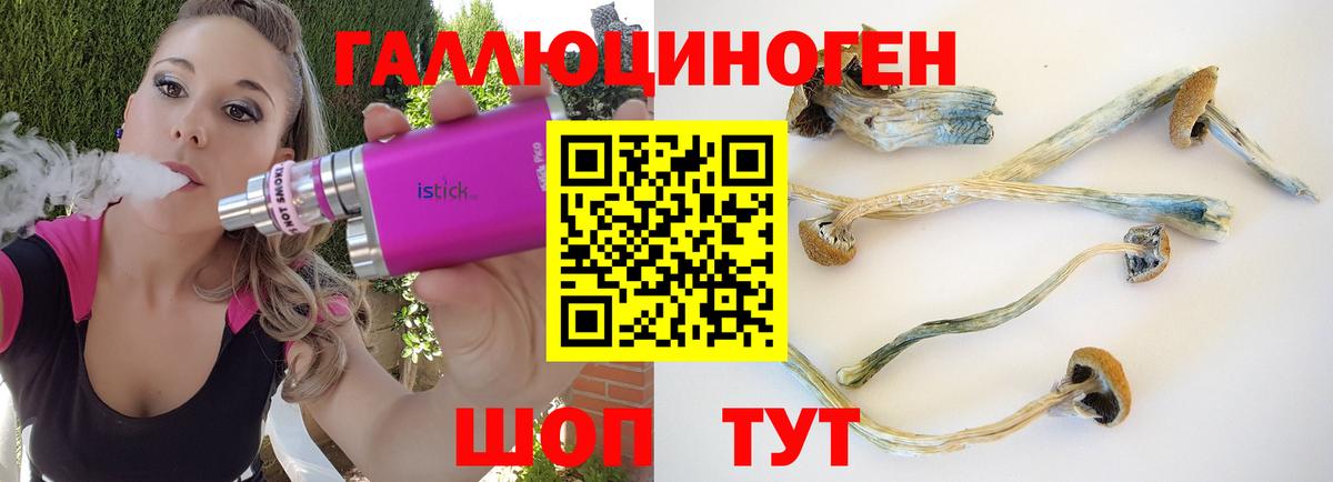 Галлюциногенные грибы мухоморы Вичуга